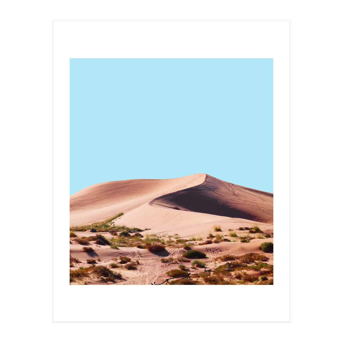 Oasis (Print Only)