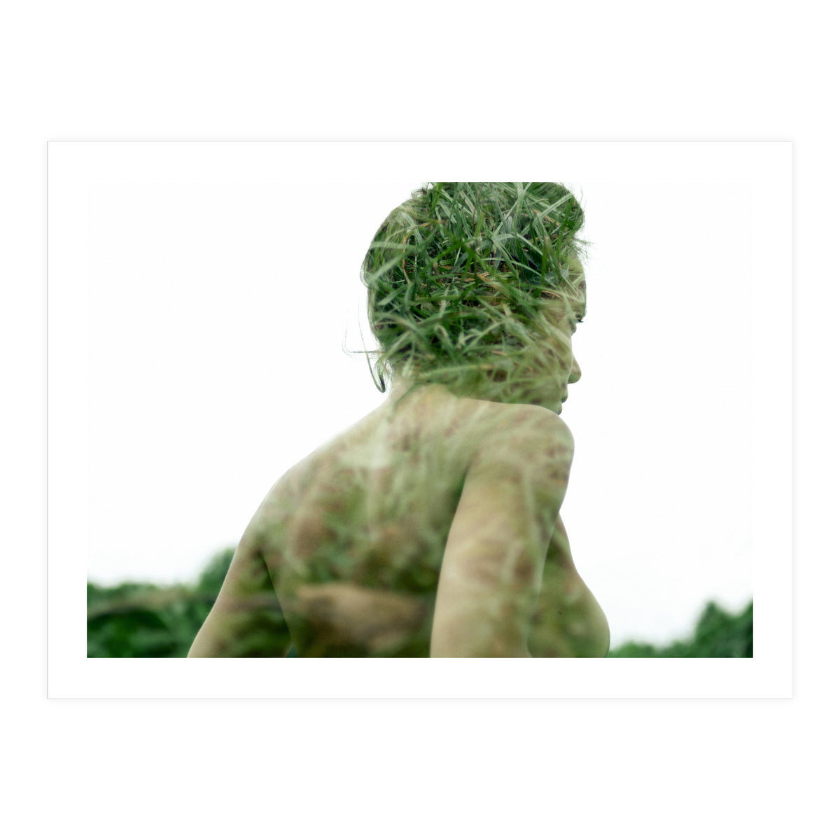 Grasshoppers (Print Only)