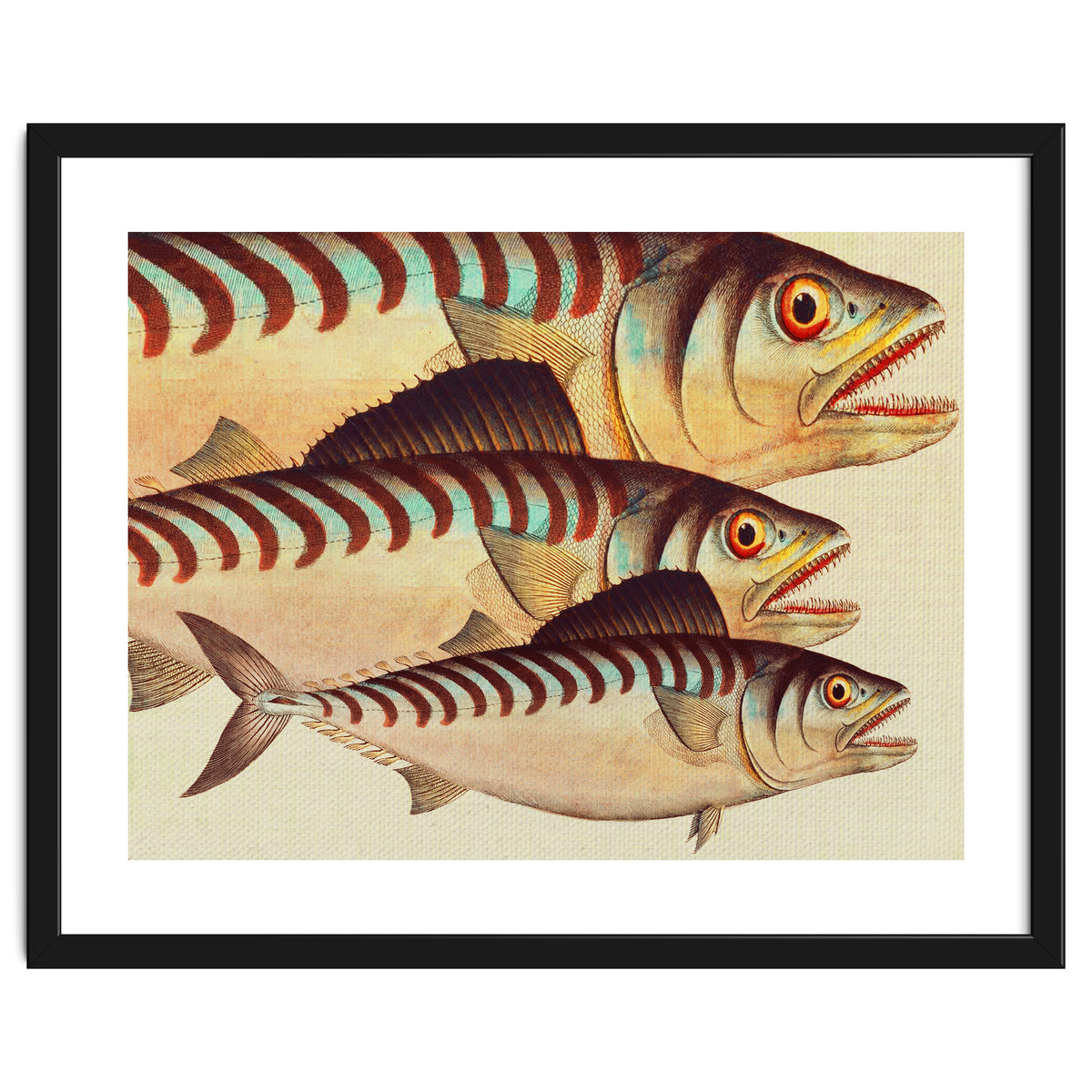 Fish Classic Designs 8