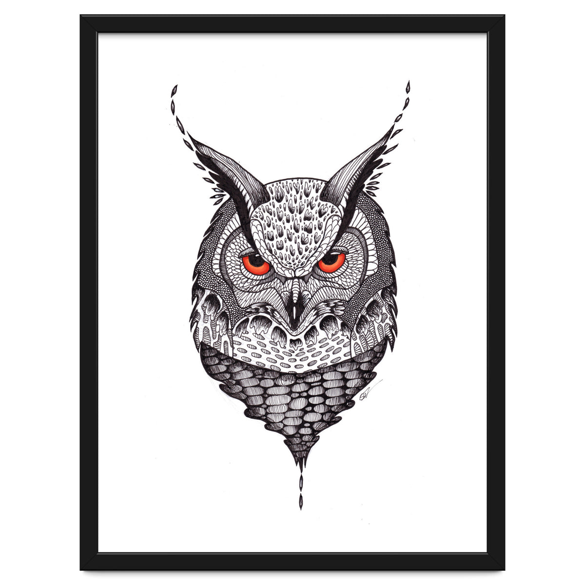 Owl