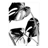 Black Tropical Leaves  (Print Only) thumbnail