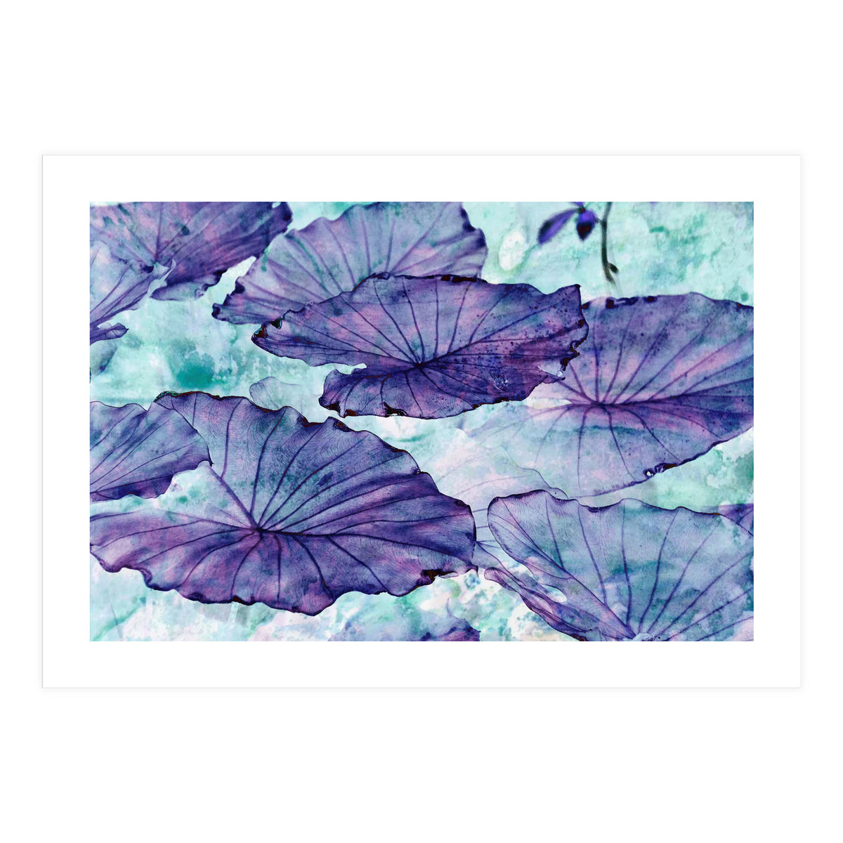 Botanical Surrealism (Print Only)