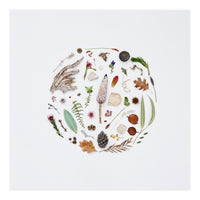 Treasures From Nature No. 1 - Square (Print Only)