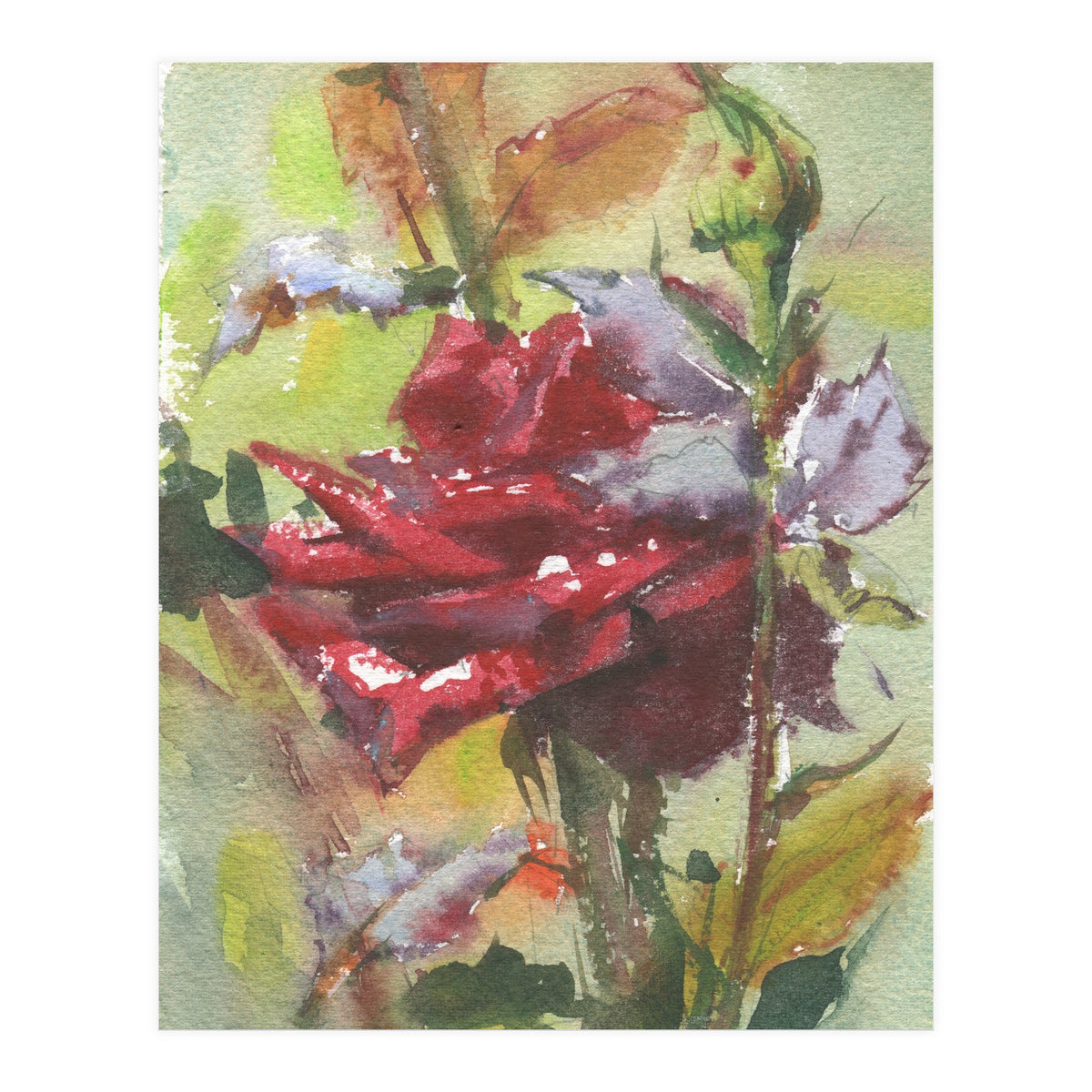Spice Rose watercolor painting (Print Only)