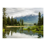 Nature (Print Only) thumbnail
