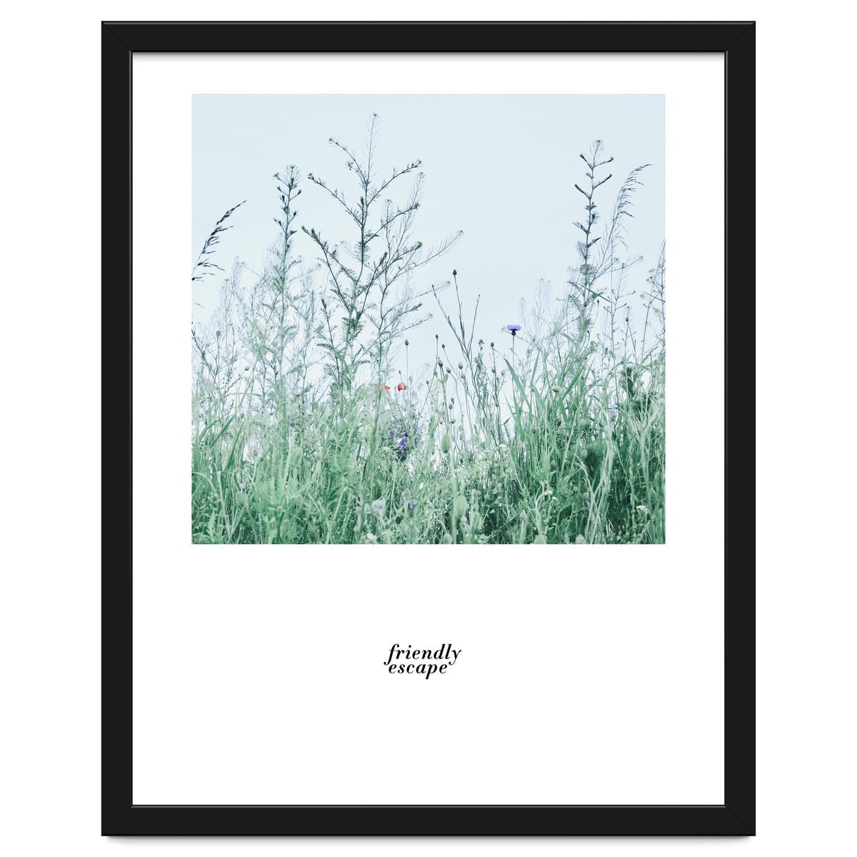 Friendly escape - Nature Photography -