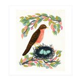 Robin (Print Only) thumbnail