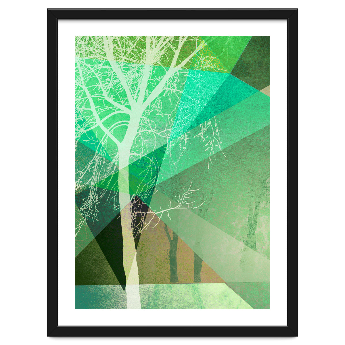 P22 B Trees And Triangles