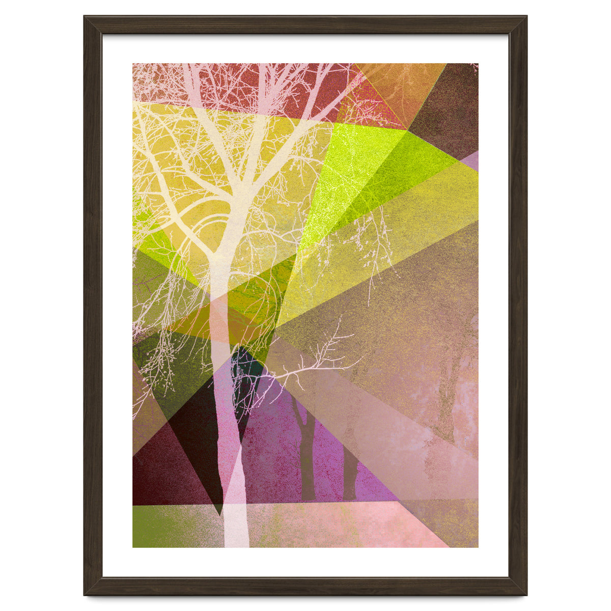 P22 Trees And Triangles