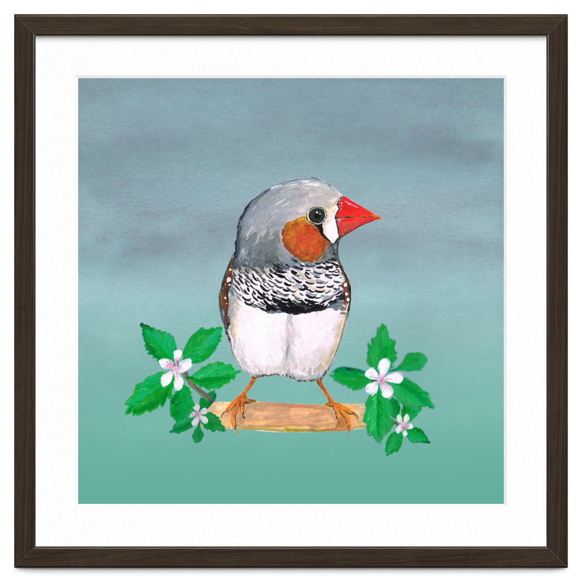 Zebra finch