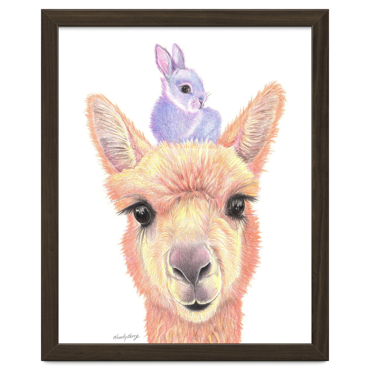 Alpaca and Bunny