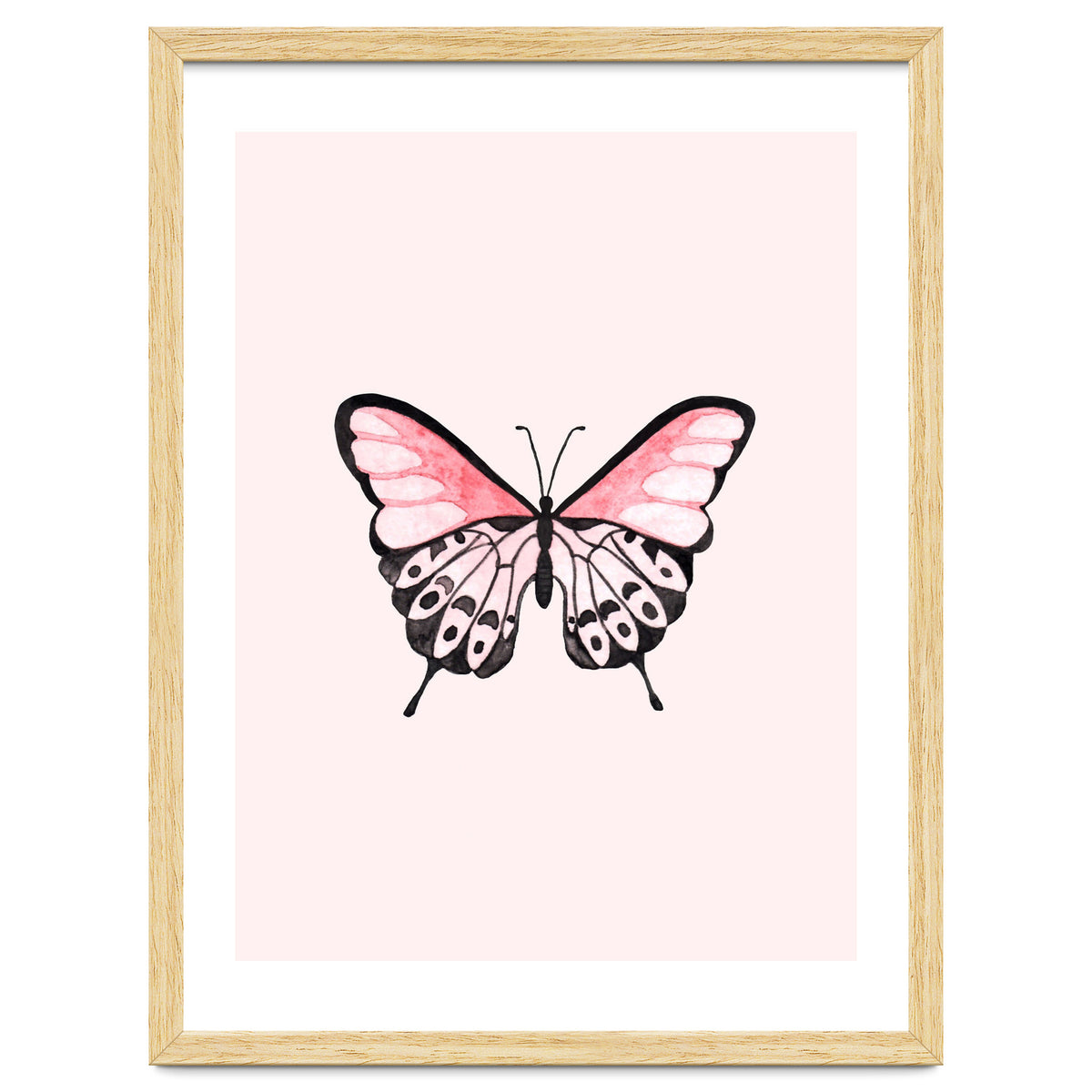 Pink Butterfly