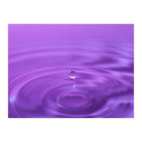 Nature (Print Only) thumbnail