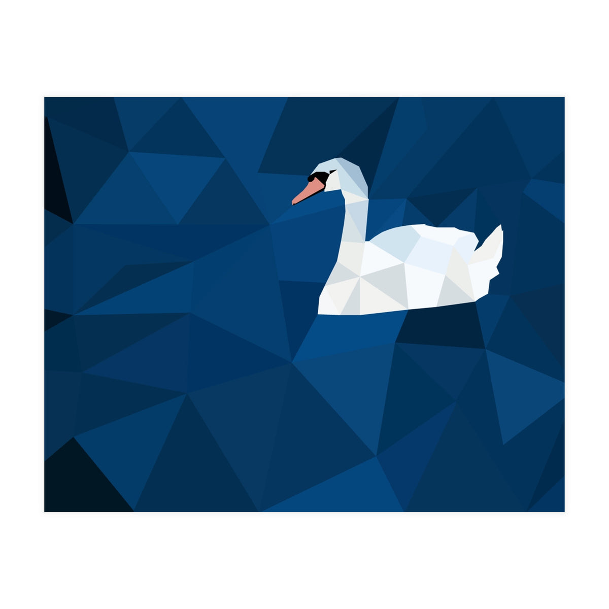 Swan In Water Artwork (Print Only)