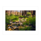 San Gorgonio Stream (Print Only) thumbnail