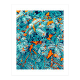 Winter Lush (Print Only) thumbnail
