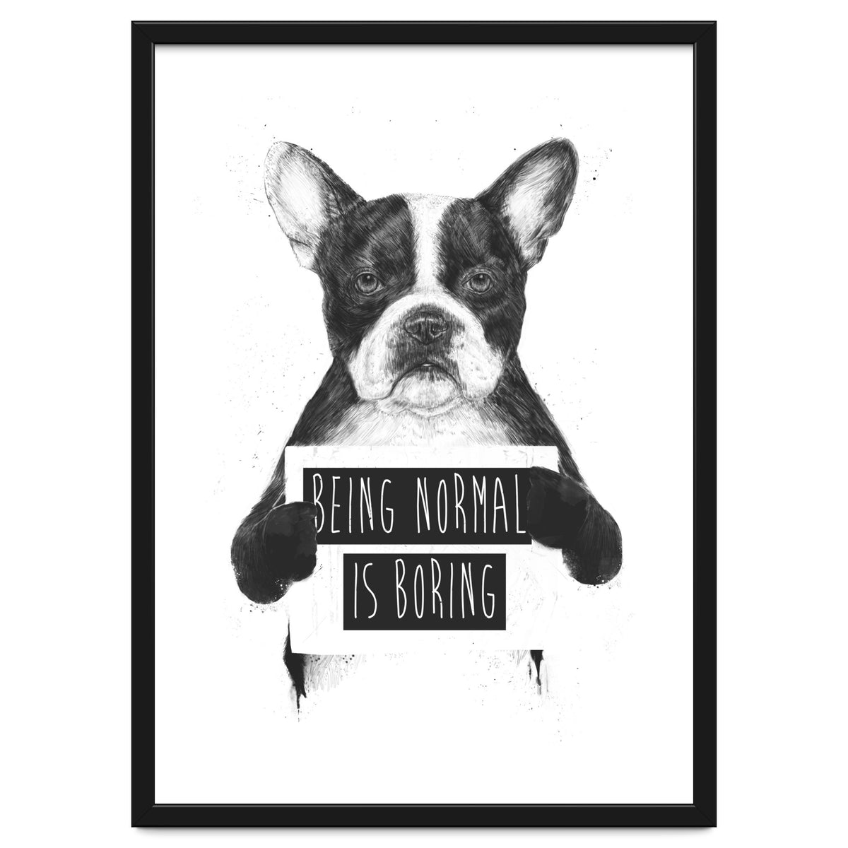 Being Normal Is Boring