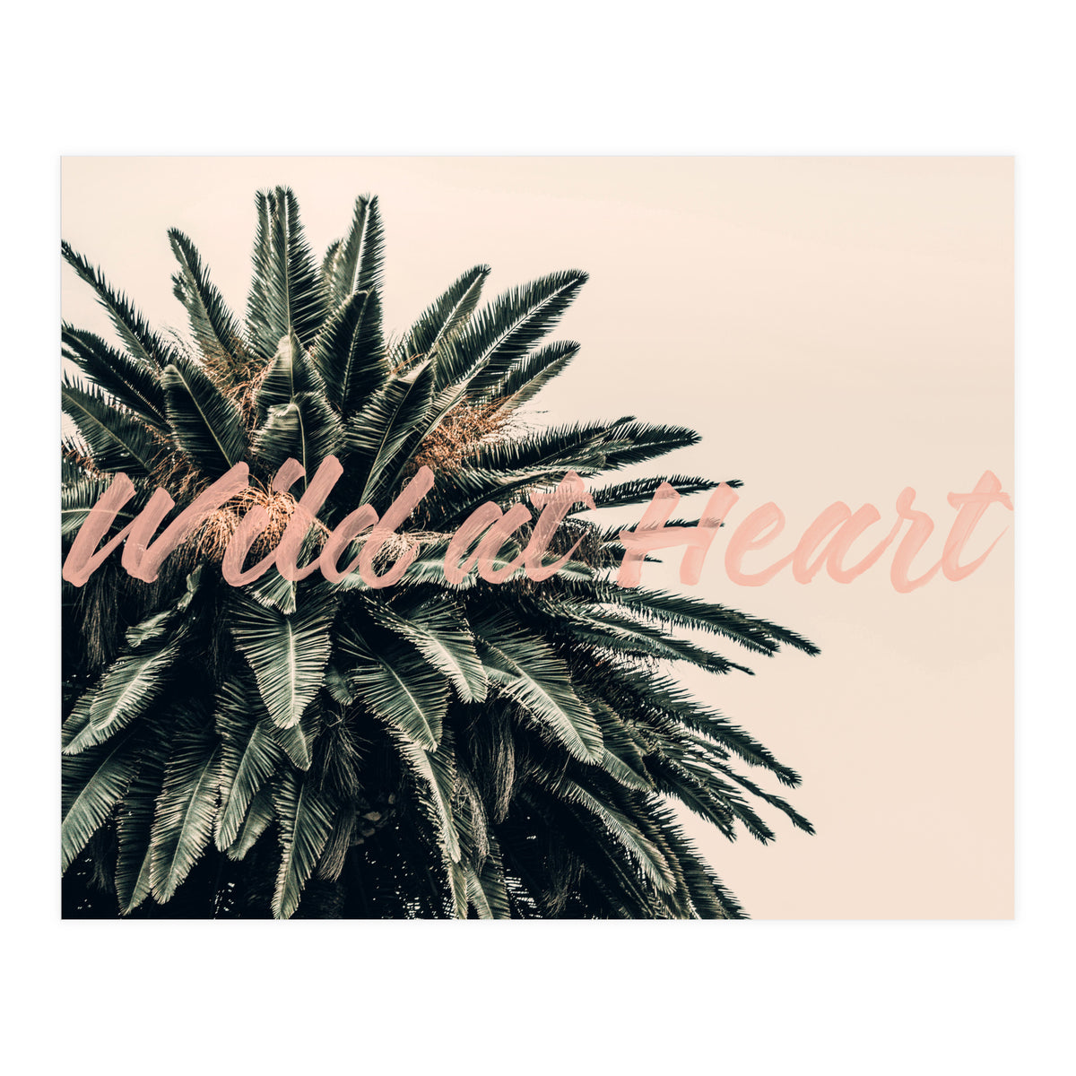 Wild At Heart (Print Only)