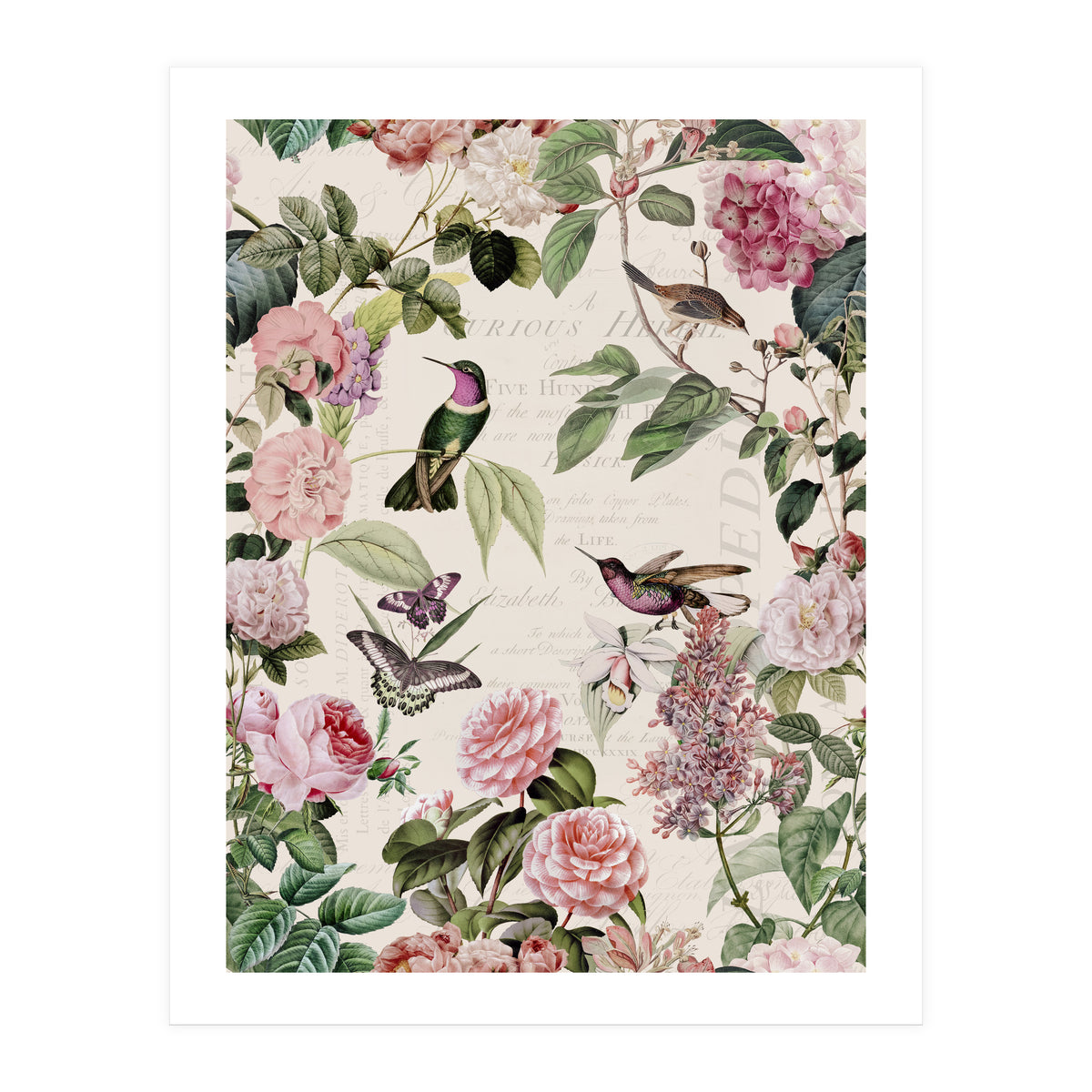 Hummingbirds And Roses (Print Only)