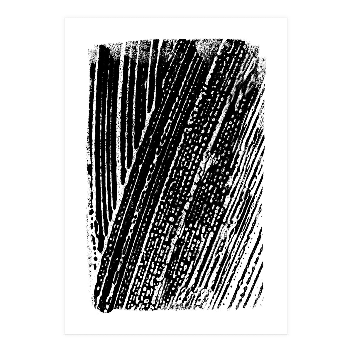 Dizzy 2 (Print Only)