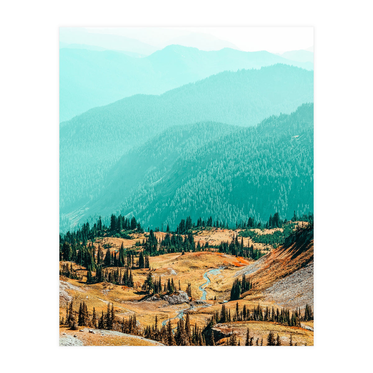 Delight Ii (Print Only)