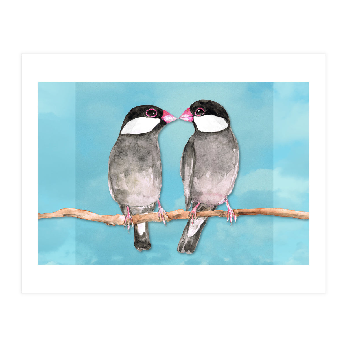 Two kissing Java sparrows (Print Only)