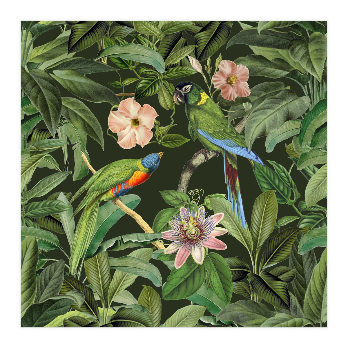 Exotic Jungle Birds (Print Only)