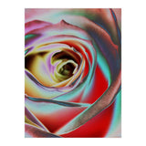 Rose (Print Only) thumbnail
