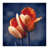 Tulips Flowers (Print Only) thumbnail