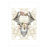 Boho Skull (Print Only) thumbnail