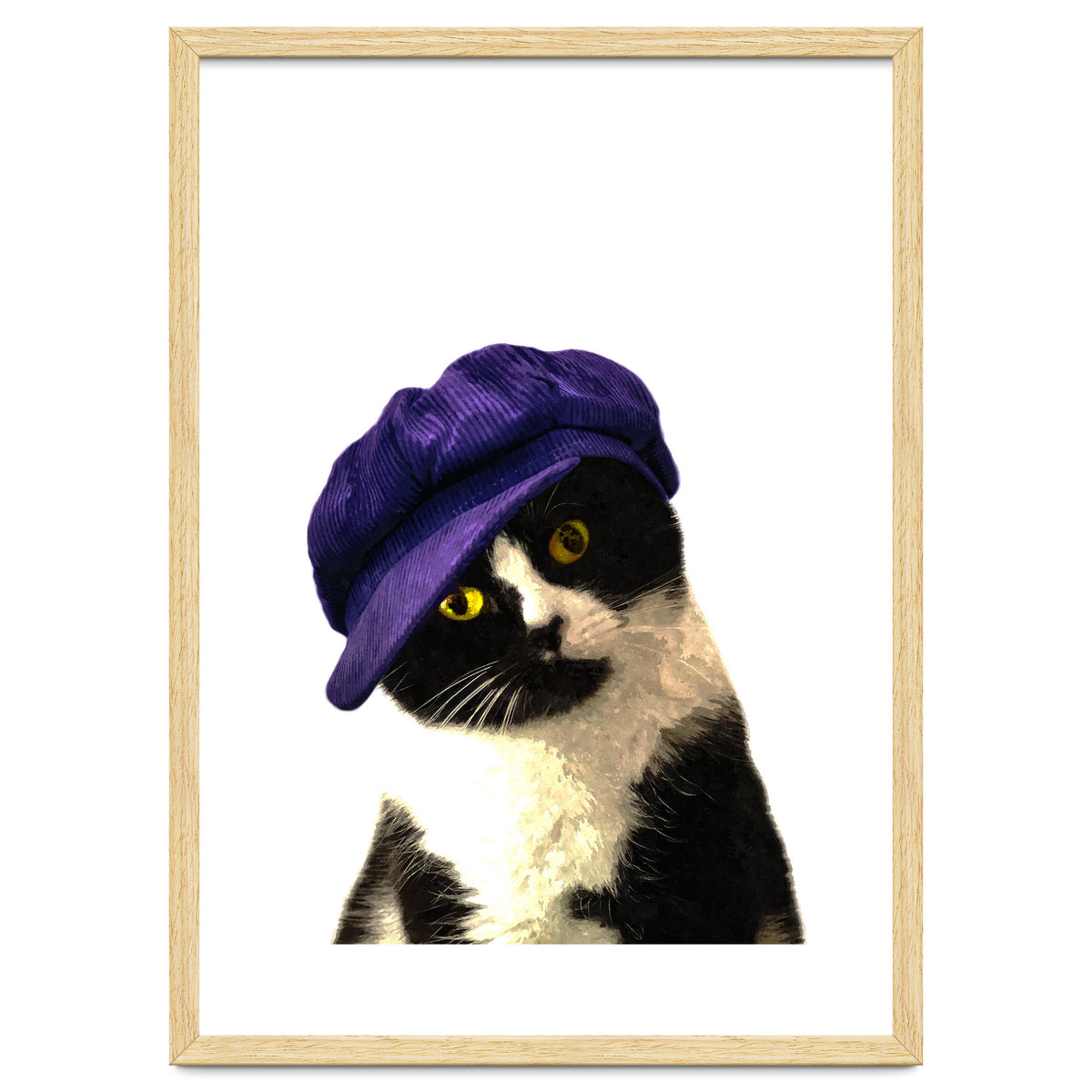 Cat Blue Hat