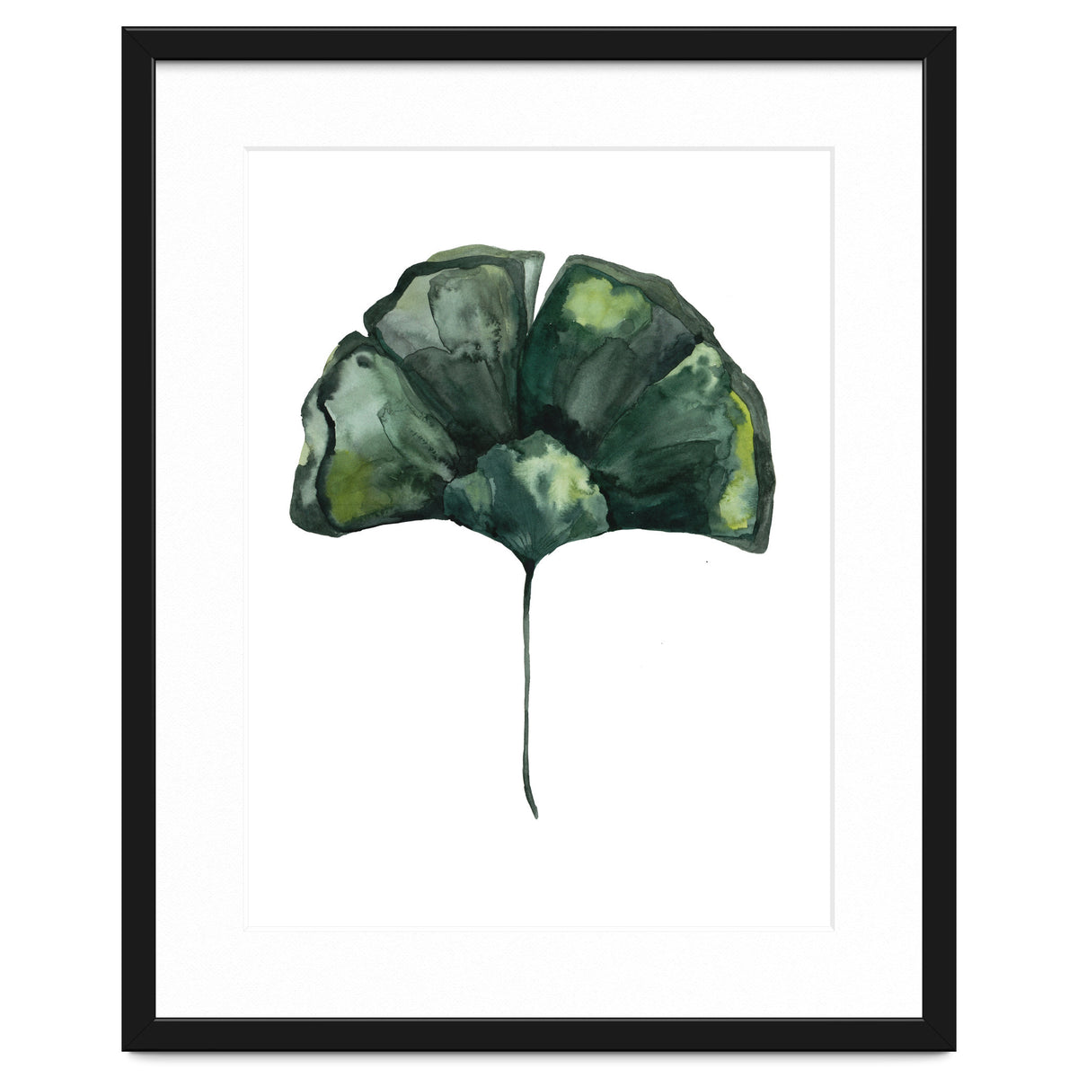 Botanical Illustration Ginko