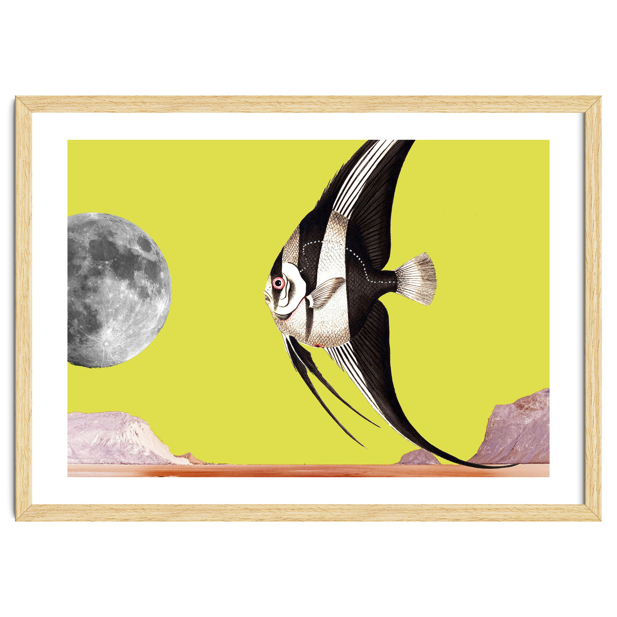 Plenty of fish in the sea yellow