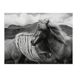 Horses In The Sky (Print Only) thumbnail