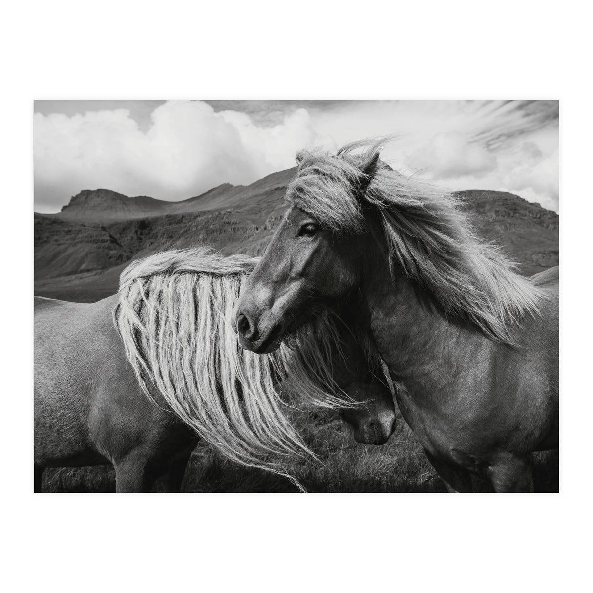 Horses In The Sky (Print Only)