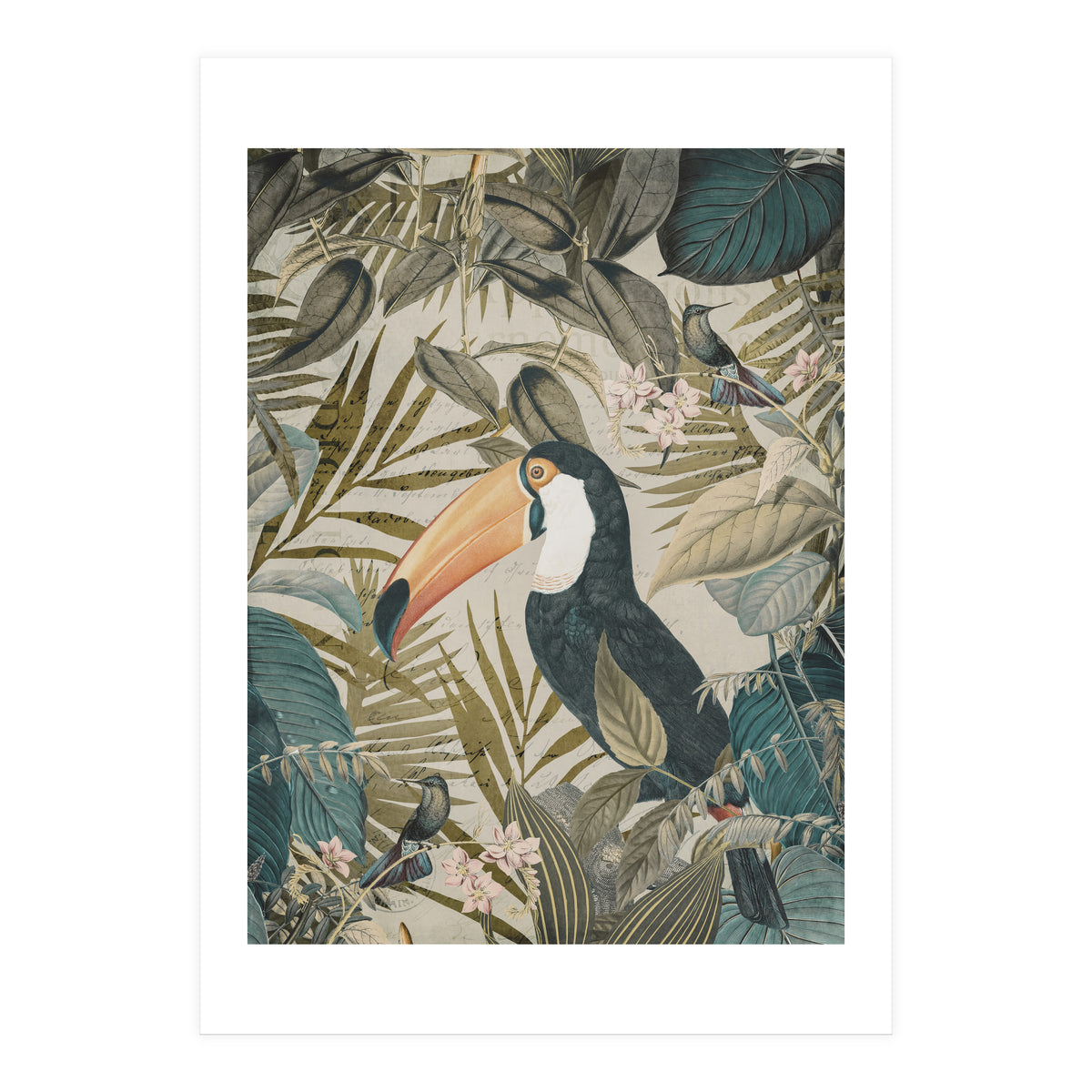 Jungle Toucan (Print Only)