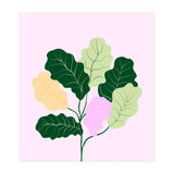 Figleaf (Print Only) thumbnail