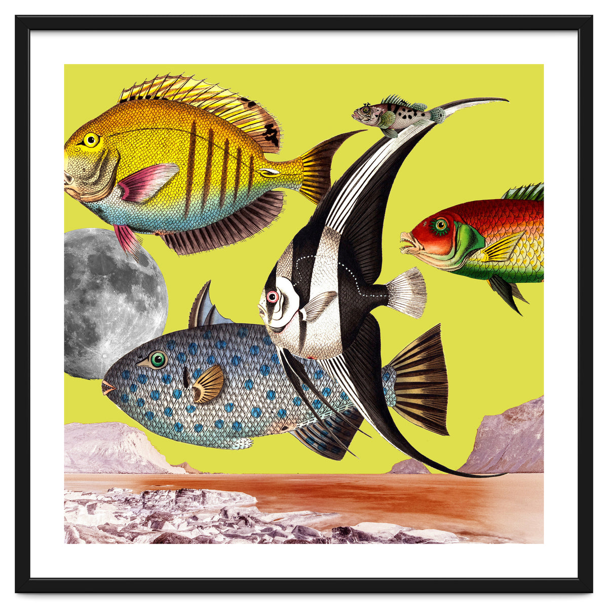 Plenty Of Fish In The Sea Yellow