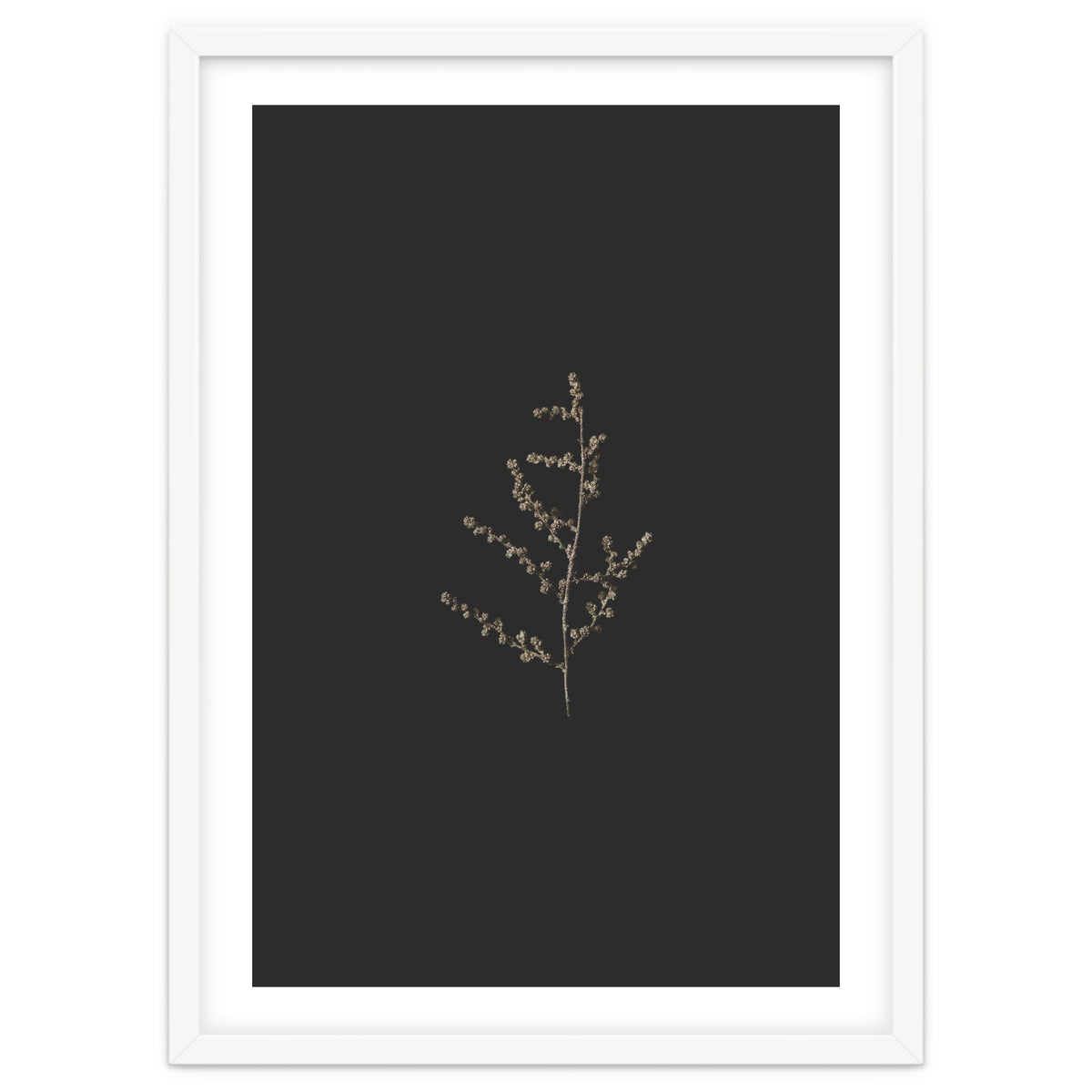 Dainty Botanicals in Gold and Black