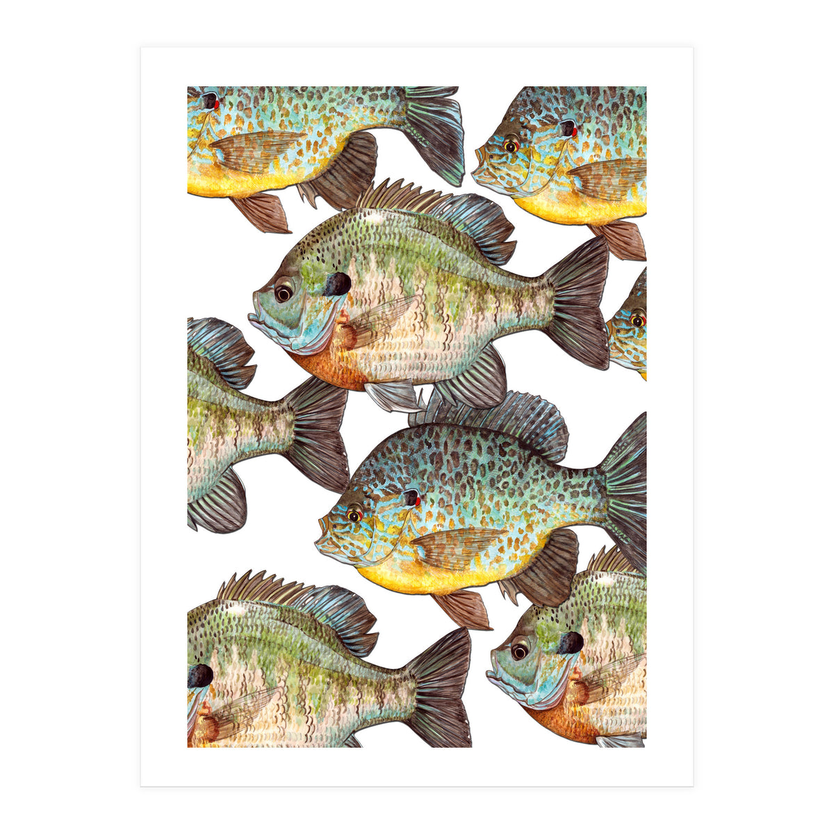 Lake Sunfish (Print Only)