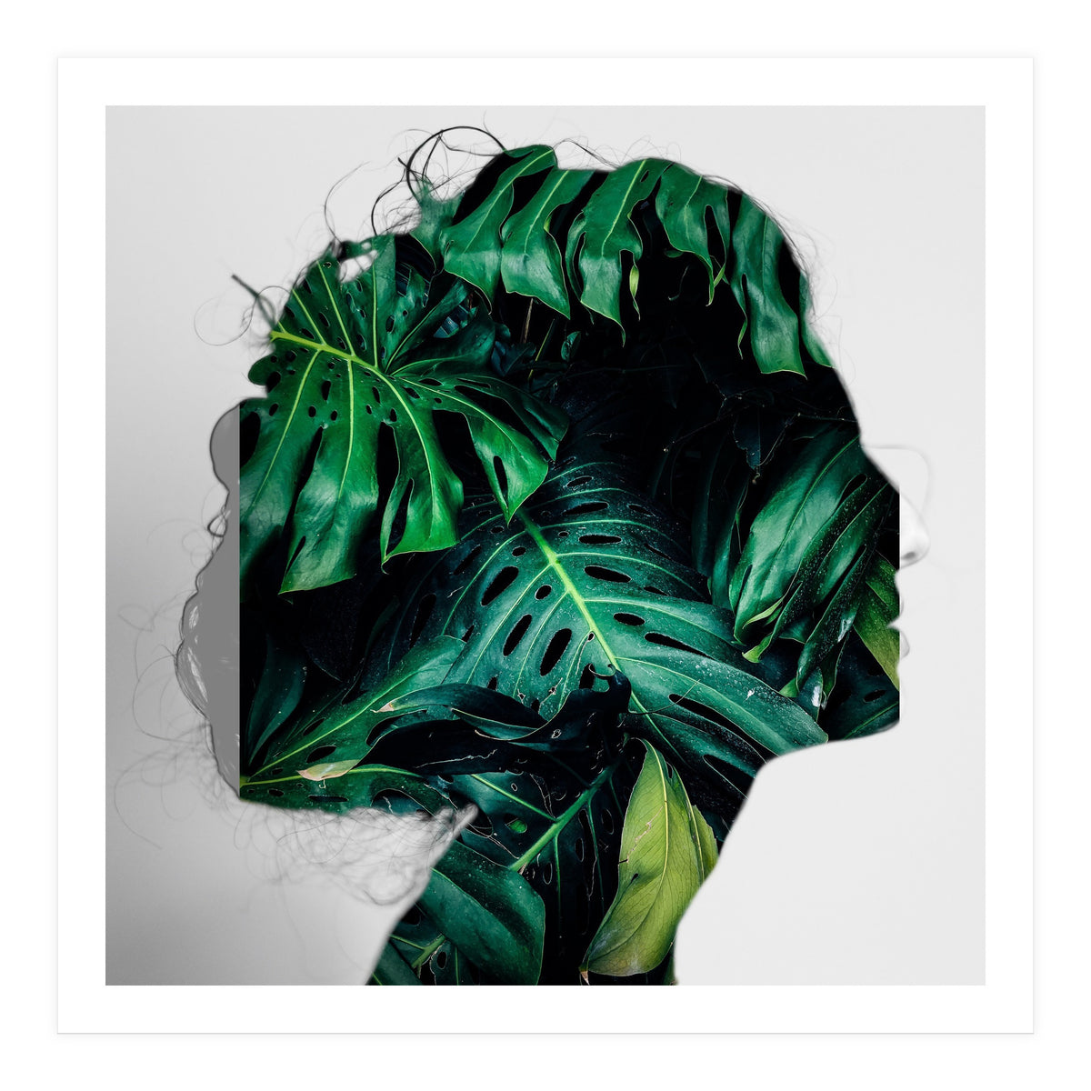 Crazy Woman 208 (Print Only)