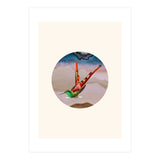 Bird Collage I (Print Only) thumbnail
