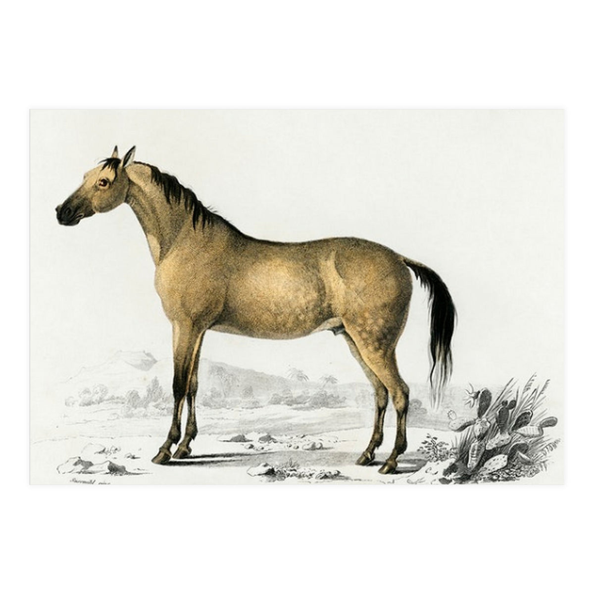 Horse (Print Only)