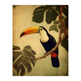 Toucan Vintage Jungle Painting (Print Only) thumbnail