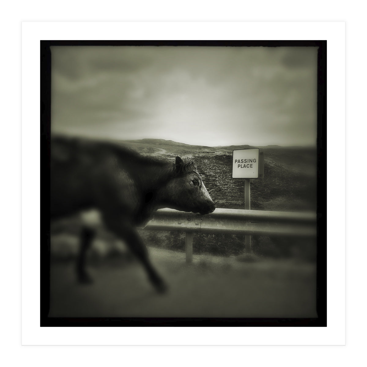 Struan Road (Print Only)