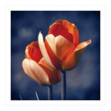 Tulips Flowers (Print Only) thumbnail