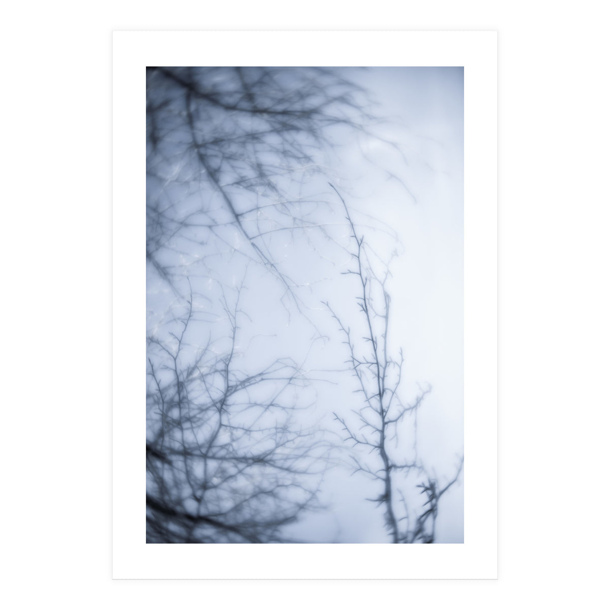 Forgotten Memories of Summer #21 (Print Only)