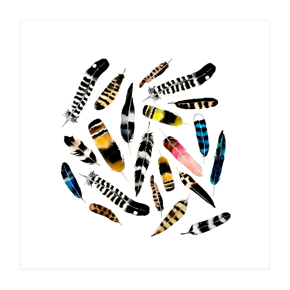 Feather Fusion  (Print Only)