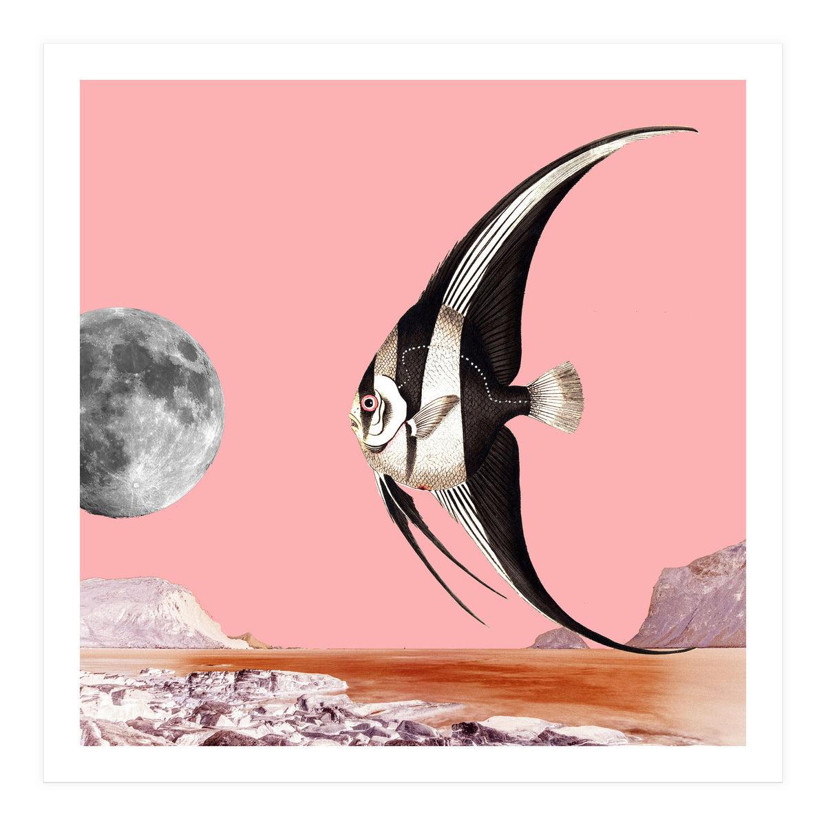 Plenty Of Fish In The Sea Pink (Print Only)