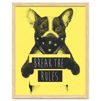 Rebel Dog Yellow